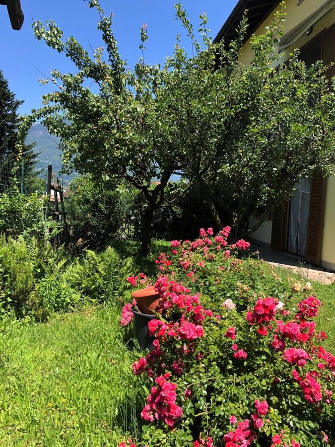 The Children Smile- With Private Garden Apartamento Colico Exterior foto